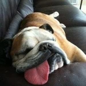 Meet your Posher, Mike